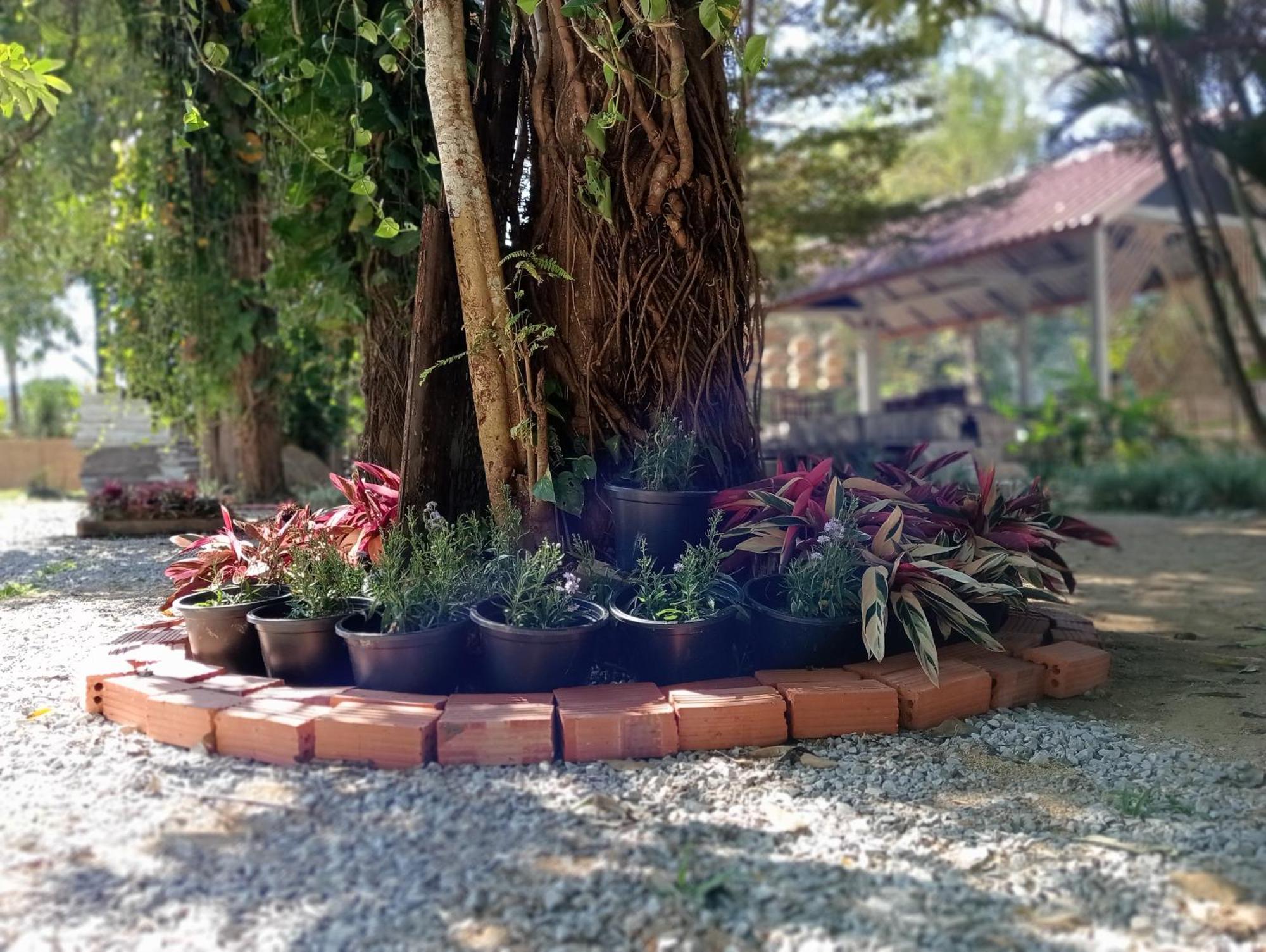 Vangvieng Ruby'Homestay Vang Vieng Exterior foto